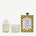Momo Travel Discovery Kit