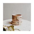 Confetti 5" Planter