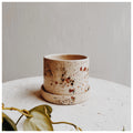 Confetti 5" Planter